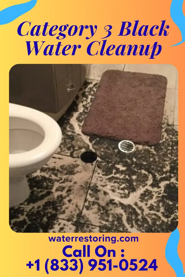 Category 3 Black Water Cleanup in Osceola, MO