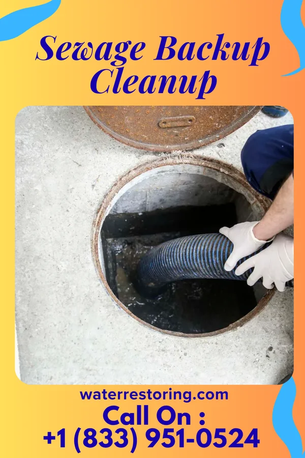 Sewage Backup Cleanup in Osceola, MO