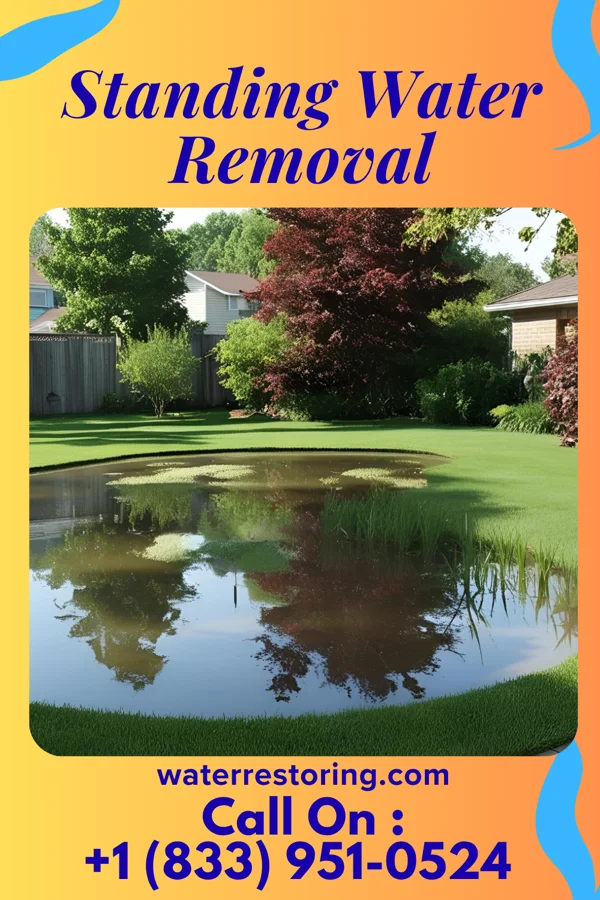 Standing Water Removal in Osceola, MO